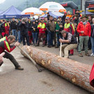 20150523_Forstarbeiter_034.jpg