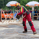 20150523_Forstarbeiter_037.jpg