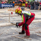 20150523_Forstarbeiter_038.jpg