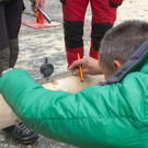 20150523_Forstarbeiter_042.jpg