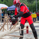 20150523_Forstarbeiter_044.jpg