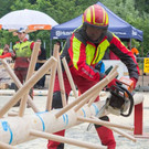 20150523_Forstarbeiter_046.jpg