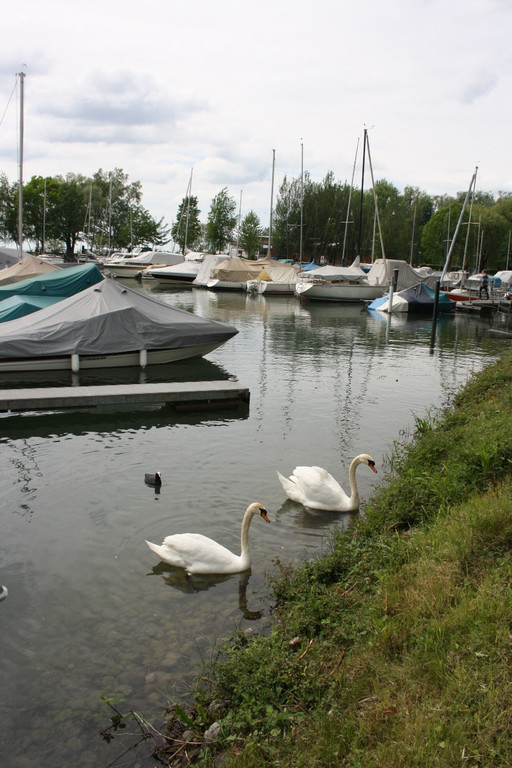 Bootstaufe LYC 2015 _6_.JPG