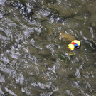DSC_0003.JPG