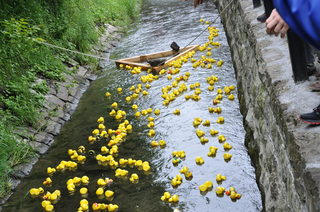 DSC_0062.JPG
