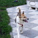 PICT2190.JPG
