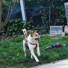 PICT2192.JPG