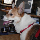 PICT2214.JPG