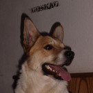 PICT2224.JPG