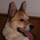 PICT2229.JPG