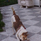 PICT2237.JPG