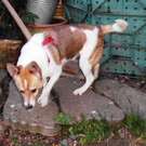 PICT2265.JPG