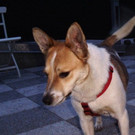 PICT2274.JPG