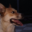PICT2277.JPG