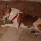 PICT2292.JPG
