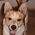 PICT2300.JPG