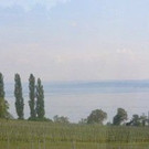DSC_1031.jpg