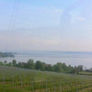 DSC_1035.jpg