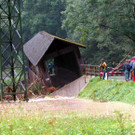 461900.jpg