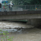 461500.jpg