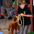 016-IMG_6169.JPG