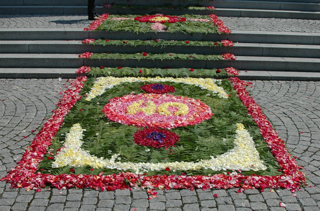 DSC_6790 Blumenteppich _Large_.JPG