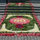 DSC_6790 Blumenteppich _Large_.JPG