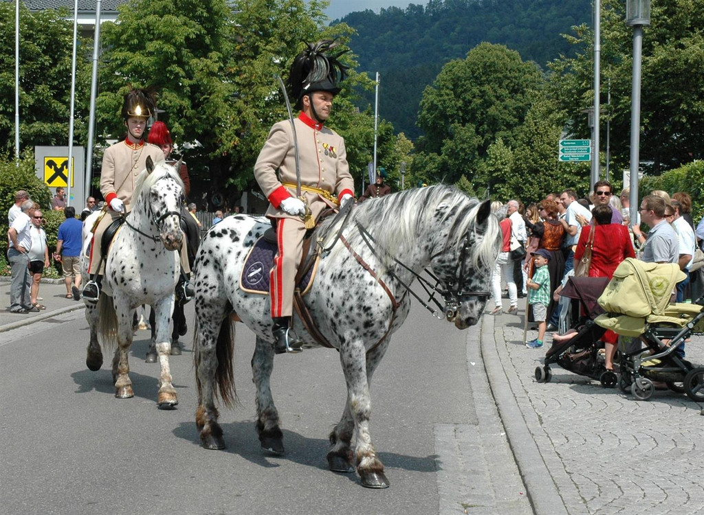 DSC_6949 _Large_.JPG