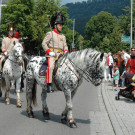 DSC_6949 _Large_.JPG