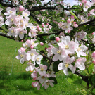 DSC03615.JPG