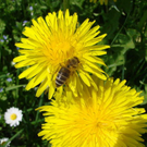 DSC03617.jpg