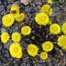 DSC03618.JPG