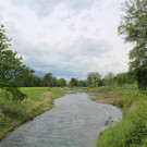 _IMG_1037_neu.jpg