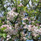 DSC03700.JPG