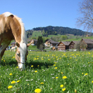 DSC03701.JPG