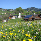 DSC03702 .jpg