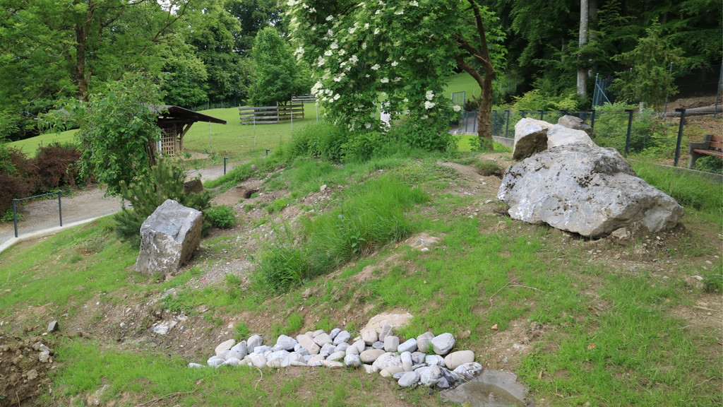 KOE_Wildpark Murmelegehege 1.jpg