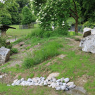 Blick ins neue Murmelegehege