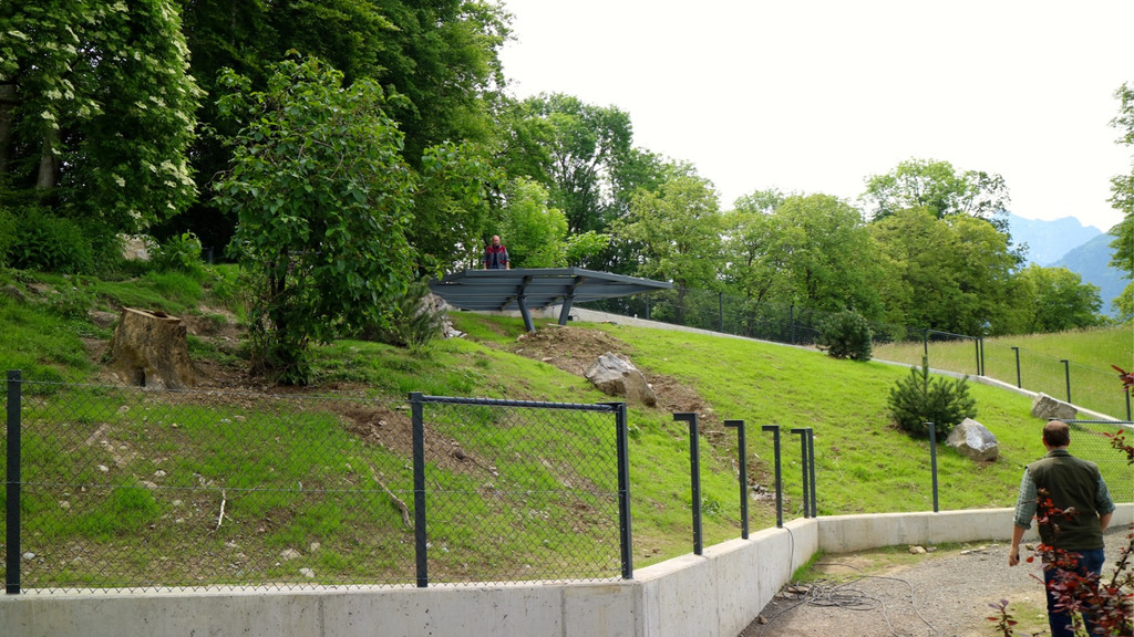 KOE_Wildpark Murmelegehege 20.jpg