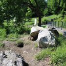 KOE_Wildpark Murmelegehege 25.jpg