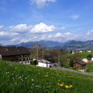 DSC08304.JPG