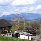 DSC08305.JPG