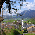DSC08314.JPG