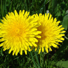DSC08340.JPG
