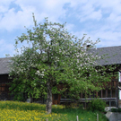 DSC08342 .jpg