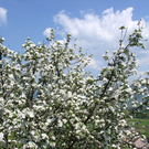 DSC08343.JPG