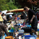 IMG_1053_Gr____enver__nderung.JPG