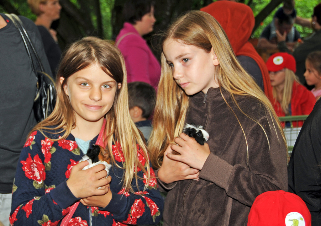 Tierfest Ho__chst 30-05-2015 17.jpg