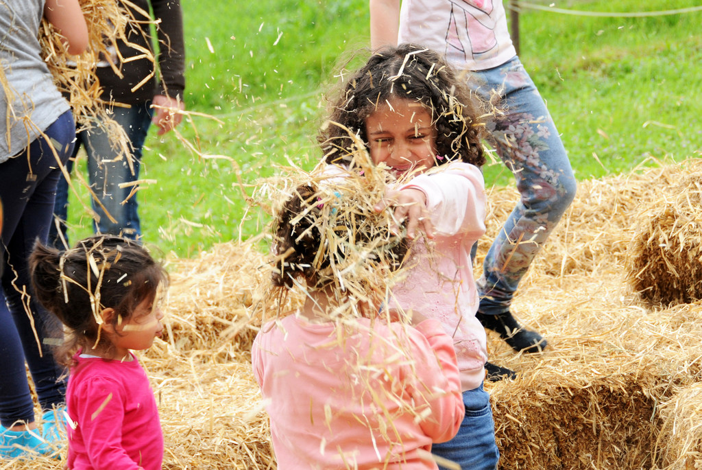 Tierfest Ho__chst 30-05-2015 33.jpg