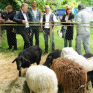 Tierfest Ho__chst 30-05-2015 77.jpg